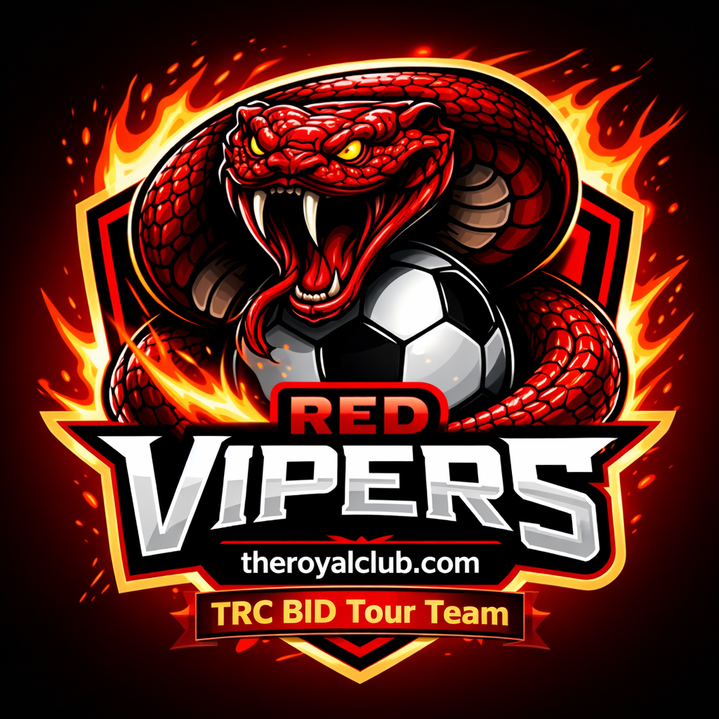 Team Logo